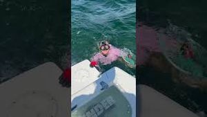 Video post by @barstooloutdoors on YouTube