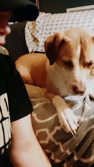 Video post by @alyshiafaith on Instagram