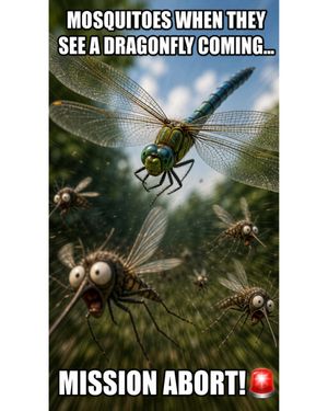 Image post by @bugbustersusa on Instagram