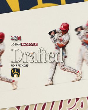 Image post by @bcbirdball on Instagram