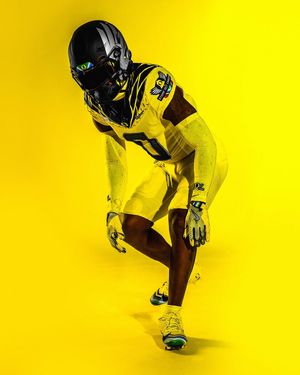 Image post by @goducks on Instagram