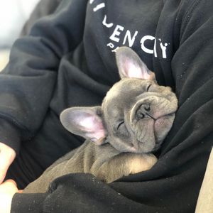 Image post by @cmcavoy25 on Instagram