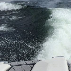 Video post by @MuskokaBoatGallery on Facebook