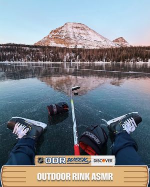 Image post by @nhl on Instagram