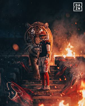 Image post by @nflondazn on Instagram