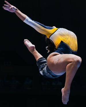 Image post by @bergstein.photos on Instagram