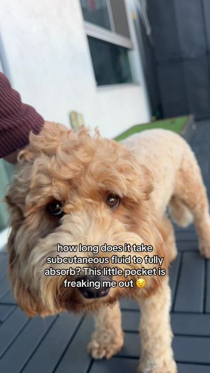 Video post by @tedflixnchill on TikTok