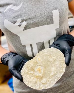 Image post by @eatcoyotas on Instagram