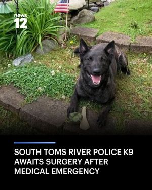 Image post by @news12nj on Instagram