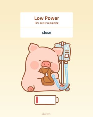 Image post by @luluthepiggy_official on Instagram
