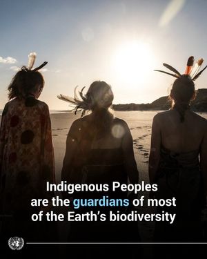 Image post by @unitednations on Instagram