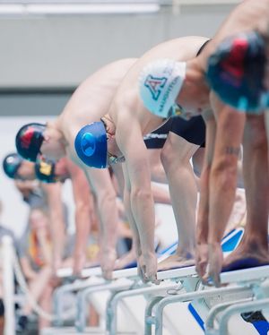 Image post by @byuswimdive on Instagram