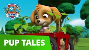 Video post by @pawpatrolofficial on YouTube