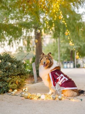 Image post by @missrevx on Instagram