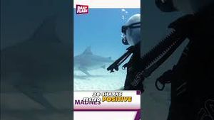 Video post by @dailyflashtv on YouTube