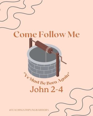 Image post by @teachingstriplingwarriors on Instagram