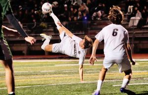 Image post by @AriannaGrainey on Twitter