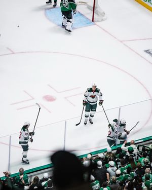 Image post by @minnesotawild on Instagram