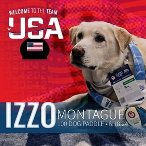 Image post by @usaswimming on Instagram