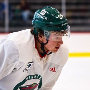 Image post by @minnesotawild on Instagram