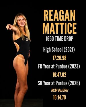 Image post by @purduewswimdive on Instagram