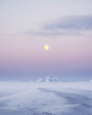 Image post by @vsco on Instagram