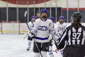 Image post by @lopeswhockey on Instagram