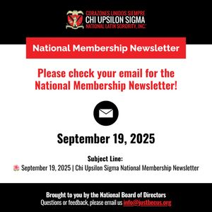 Image post by @chiupsilonsigma on Instagram