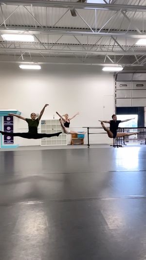 Video post by @elitedanceforcemi on Instagram
