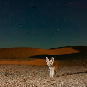 Image post by @bbcearth on Instagram