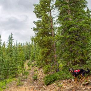 Image post by @keystone_resort on Instagram