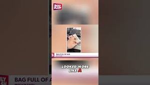 Video post by @dailyflashtv on YouTube
