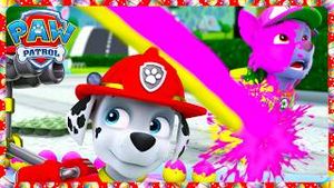 Video post by @pawpatrolofficial on YouTube