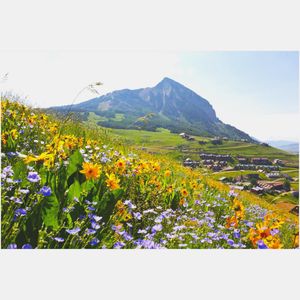 Image post by @skicrestedbutte on Instagram