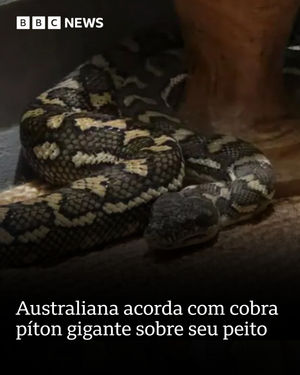 Image post by @bbcbrasil on Instagram