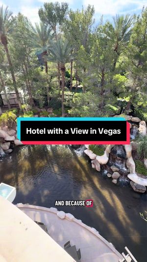 Video post by @vegasstarfish on TikTok