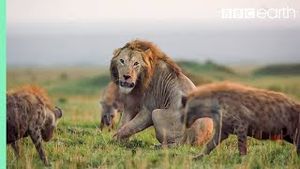 Video post by @bbcearth on YouTube