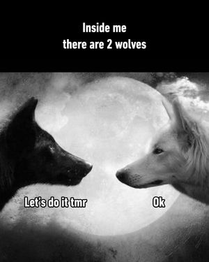 Image post by @9gag on Instagram