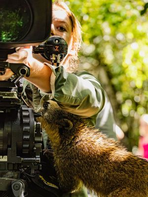 Image post by @reddigitalcinema on Instagram