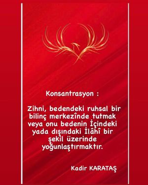 Image post by @kadirkaratasworld on Instagram