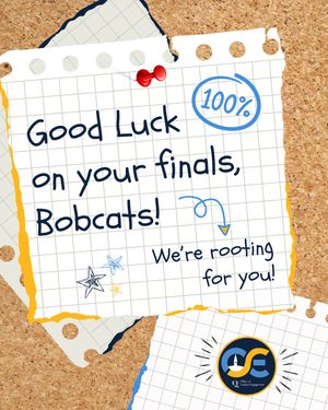 Image post by @qu_ose on Instagram