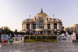 Image post by @Greenpeace on Twitter