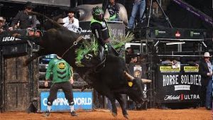 Video post by @pbr on YouTube