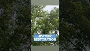 Video post by @wyffnews4 on YouTube