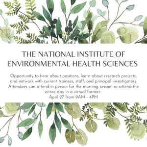 Image post by @Elon_Careers on Twitter