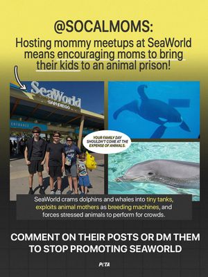Image post by @peta on Instagram