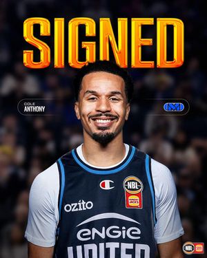 Video post by @nbl on TikTok