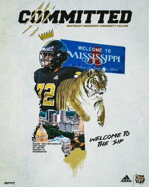 Image post by @SenatorsFB on Twitter