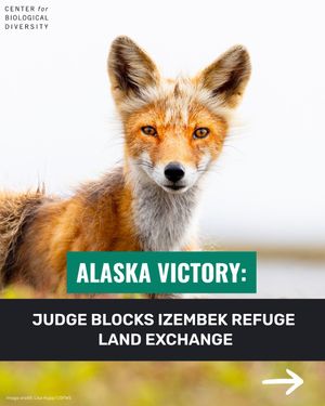 Image post by @centerforbiodiv on Instagram