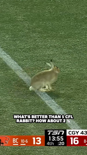 Video post by @cfl on Instagram